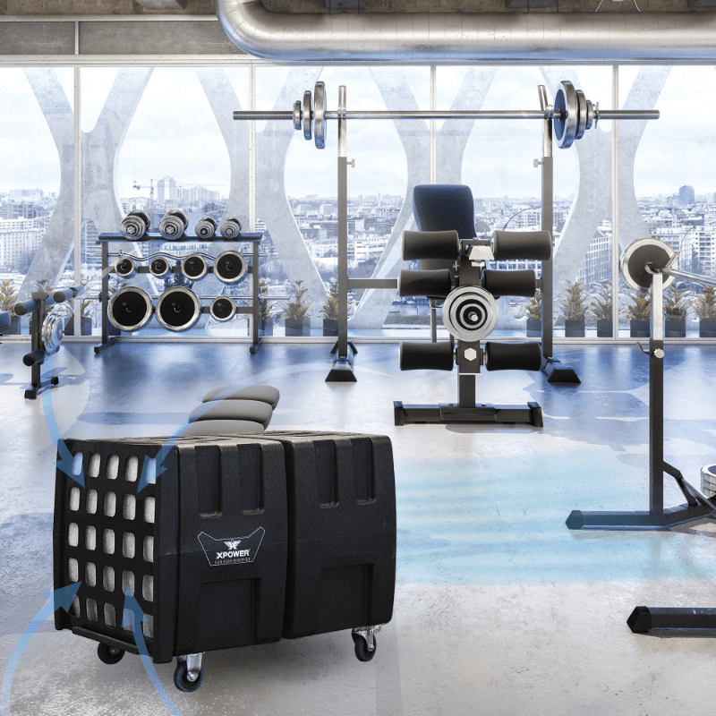 AP-2000 Gym