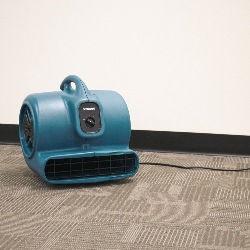 Carpet Drying