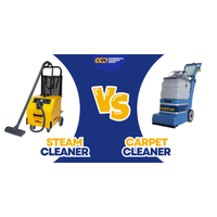 Steam Cleaner vs Carpet Cleaner