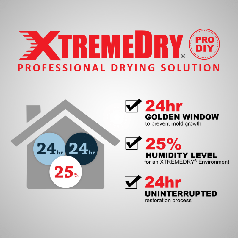 XTREMEDRY 24hour 25percent 24hour