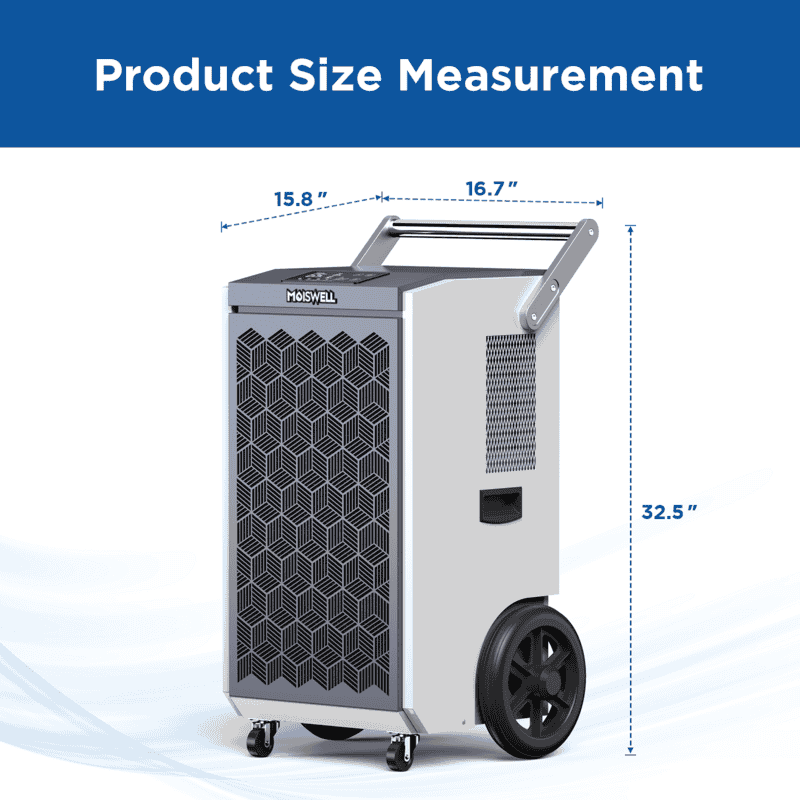 Moiswell Pioneer XIII Product Dimensions