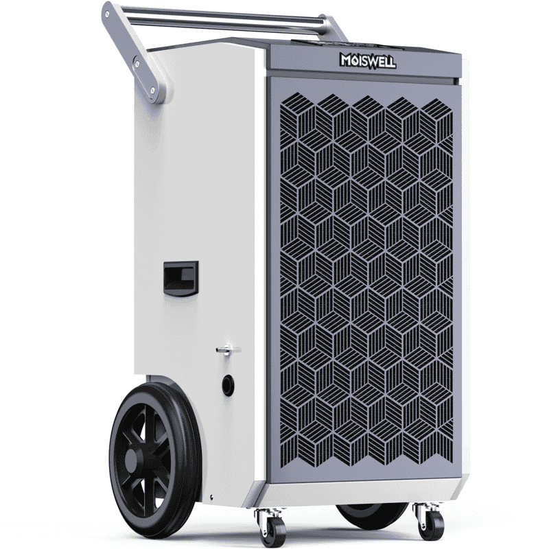 Moiswell Pioneer Xiii Product Front View